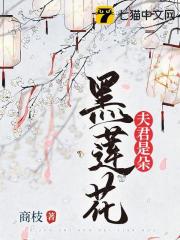 夫君是朵黑莲花